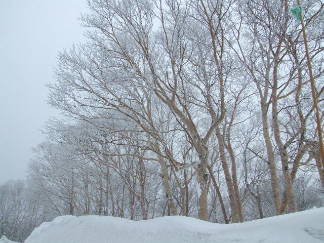 １０２号の雪景色