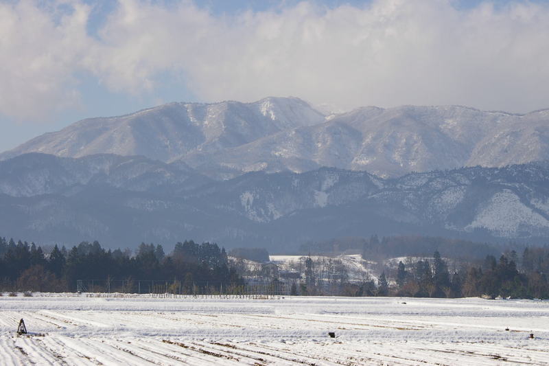 葉山の雪景色