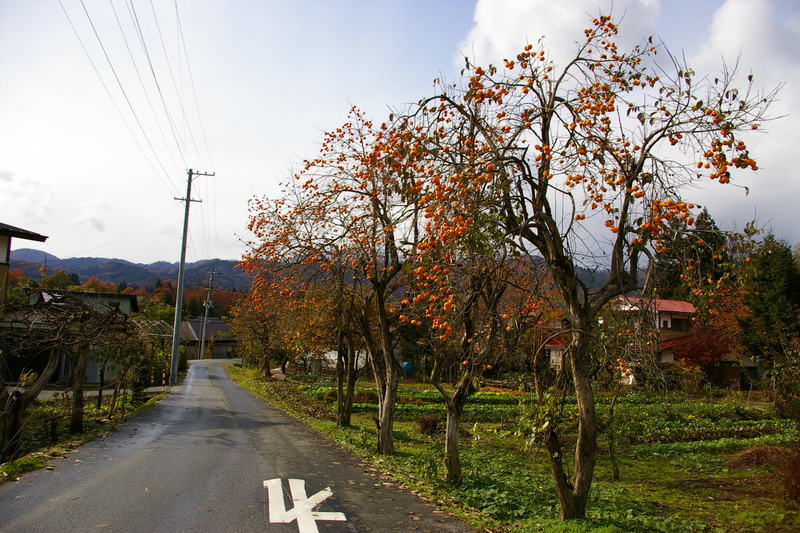Imgp0053061116