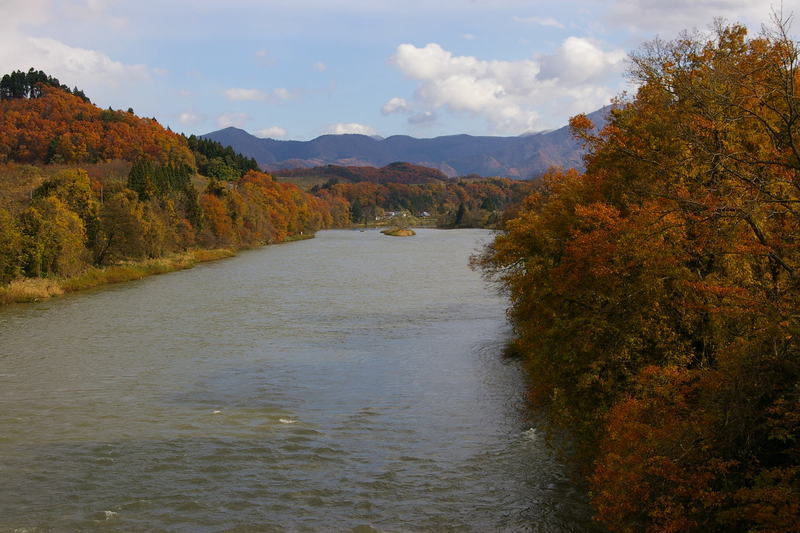 Imgp0061061116