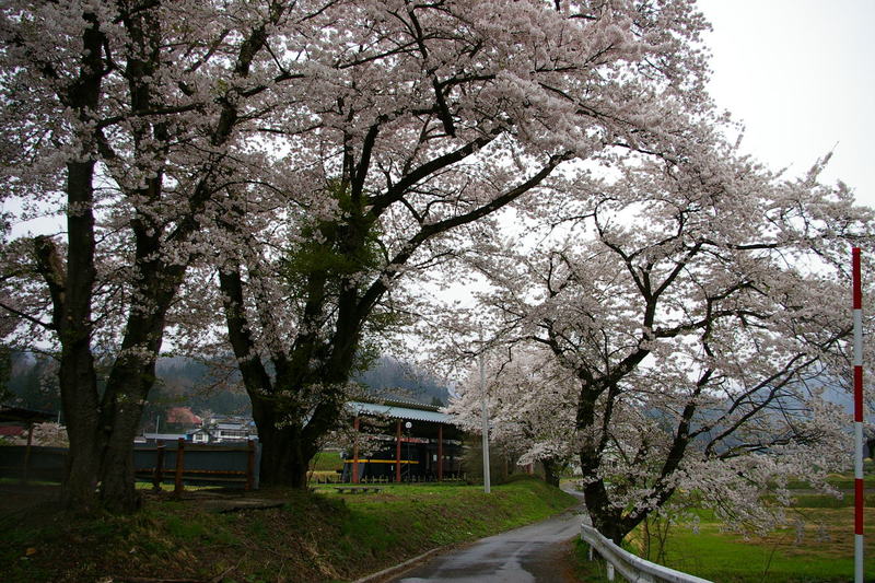 Imgp0062ab Imgp0062ab