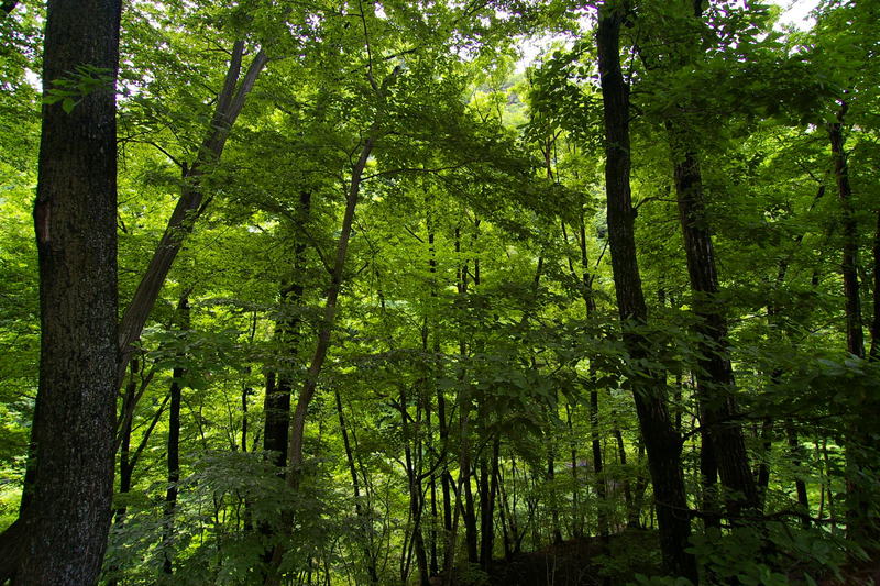 Imgp0062ab_1 ダムダム温泉