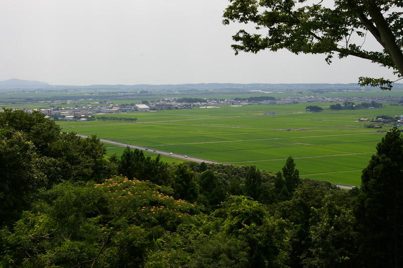 Imgp0083 合歓の木の花