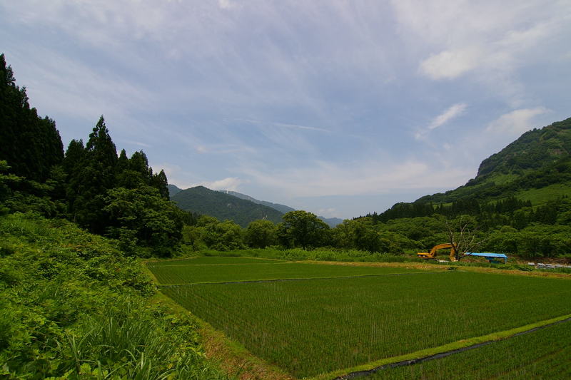 Imgp0094 野に咲くアザミの深紅の色が印象的な景色でした。
