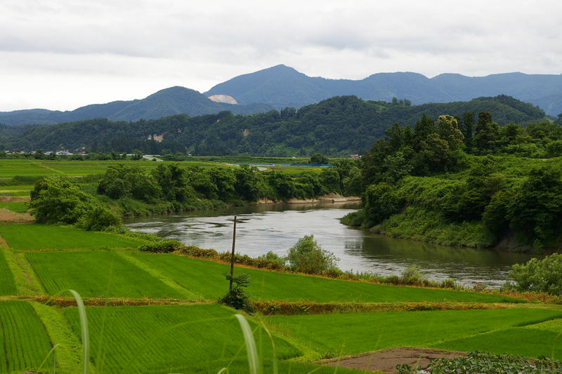 Imgp0182 「田園を流れる最上川」村山市