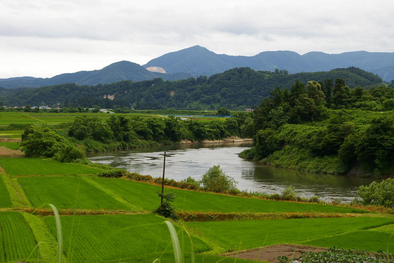 「田園を流れる最上川」村山市