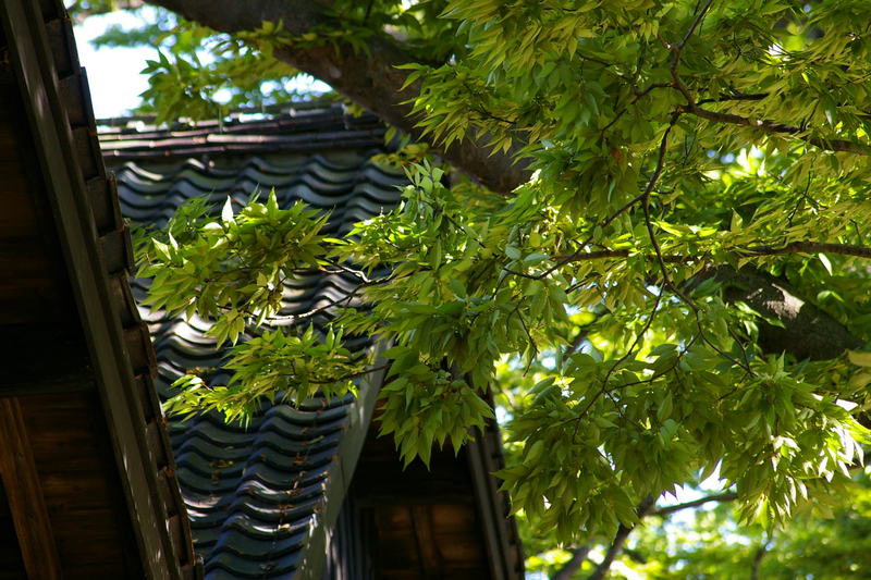 酒田市　山居倉庫