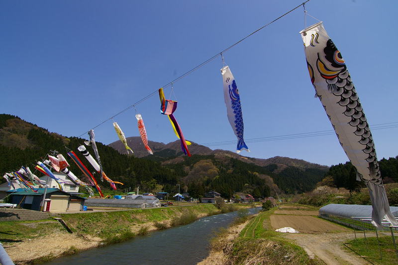 八幡町　青沢地区　鯉のぼり