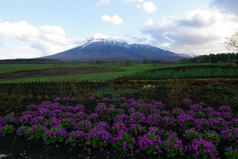 「岩手山と道」