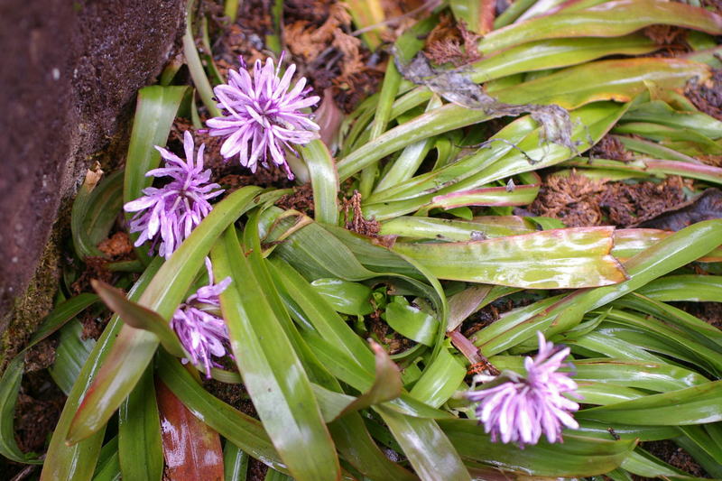 Imgp0237a Imgp0237a