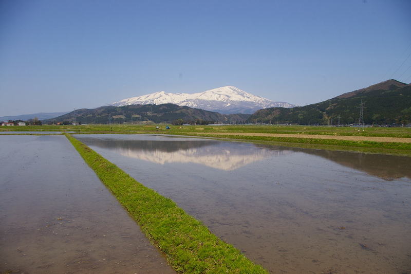 Imgp0248a 田園に写る鳥海山