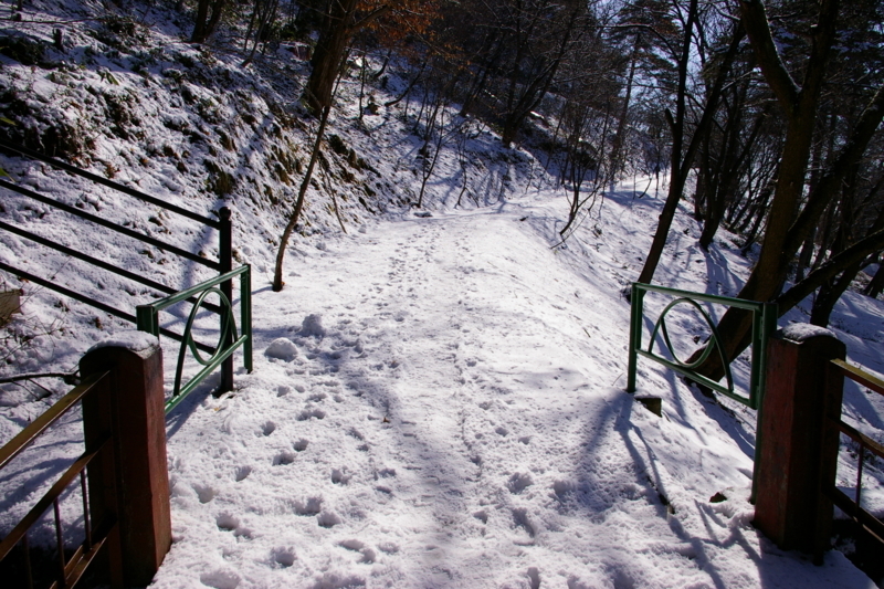 「若木山を昇る道」