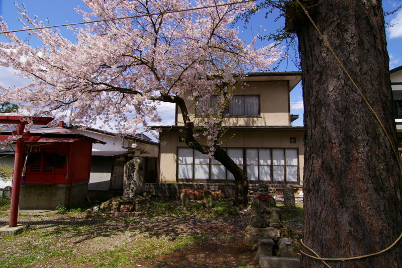 若木山からの月山の眺め