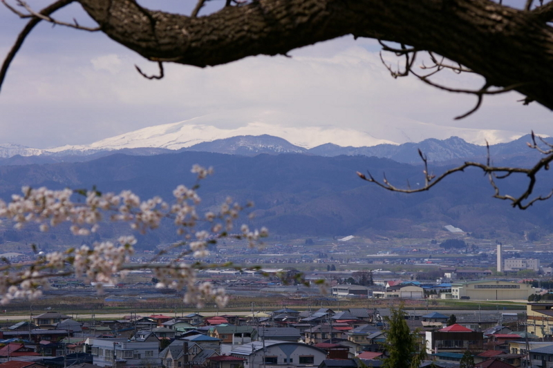 月山と桜