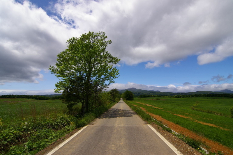Imgp6810070520 岩手県金ケ崎町 1本の道>