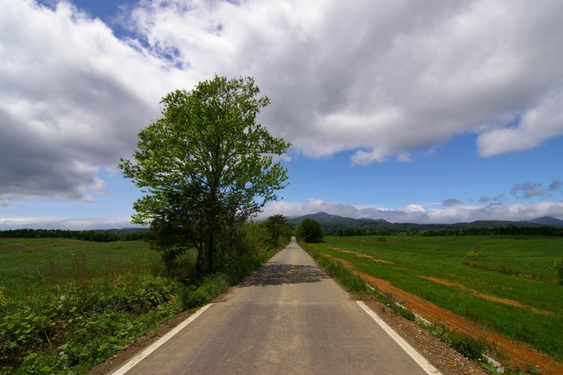 岩手県金ケ崎町　１本の道＞