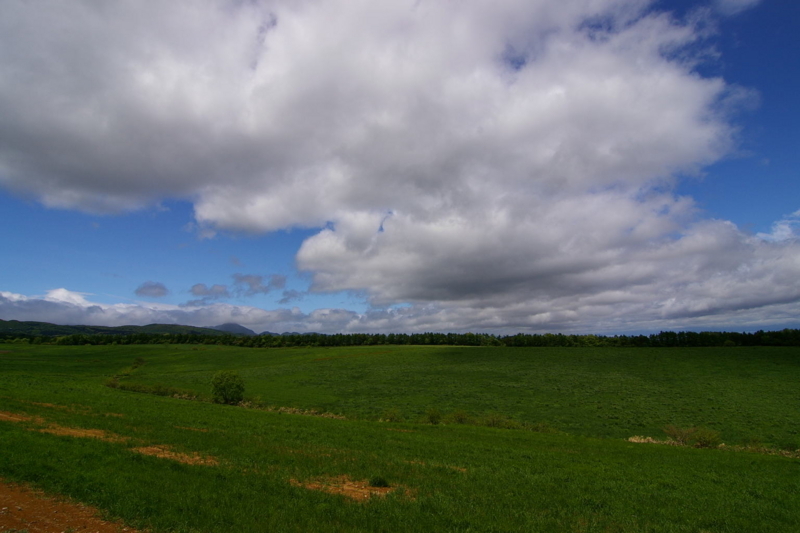 岩手県金ケ崎町