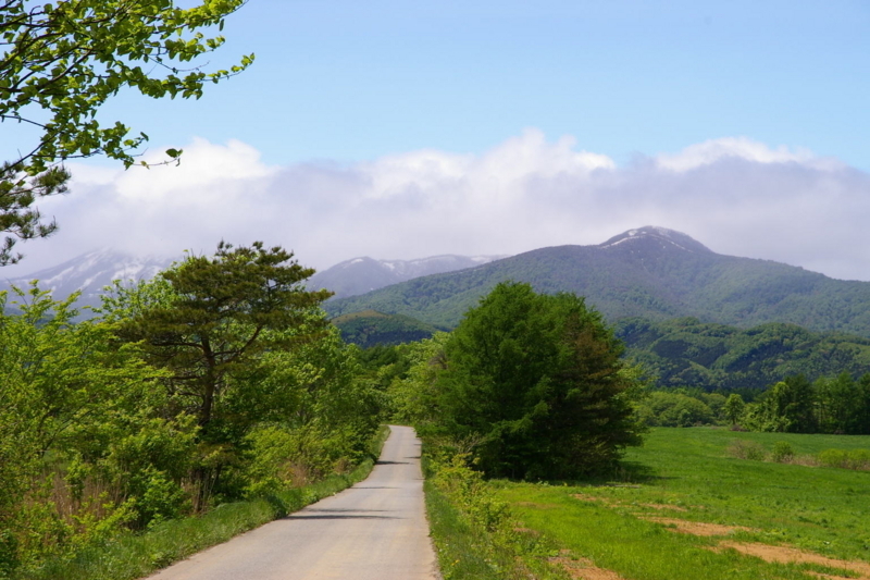 駒ケ岳