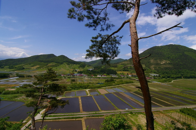 田んぼ Imgp7525070530