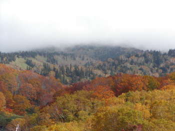 pa110175thumb1 pa110175thumb1