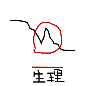 Cocolog_oekaki_2011_05_19_14_22 月経時BBT下がらない