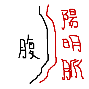 Cocolog_oekaki_2012_06_29_10_31 お腹と陽明脈のイラスト