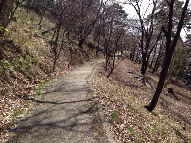 Image_5 若木山