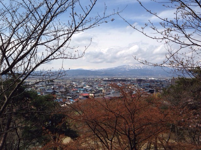 Image_3 Image_3