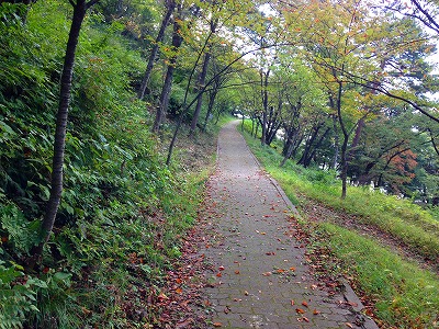 0101006 若木山