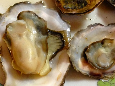 0061220 サロマ湖の牡蠣は、焼き牡蠣に鍋料理にと大活躍でした。