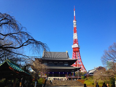0100116 増上寺
