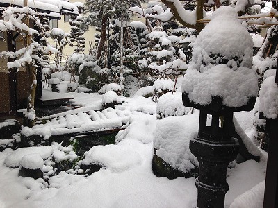 0360117 我家の庭