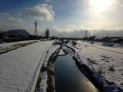 冬の野川です