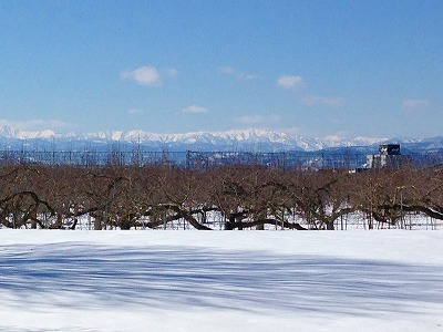 0490218 雪原の美しい風景