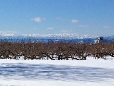 雪原の美しい風景