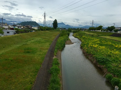 野川、菜の花、大森山 Img_14220511