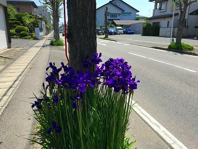 東根市　中部小学校近くの道路で