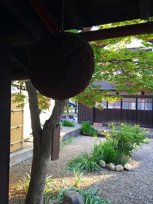 Img_16730522 寿屋さんの杉玉です。
