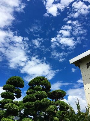 Img_31190817 夏空