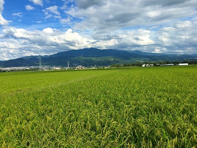 Img_31830821 蔵王