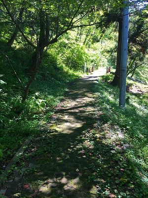 若木山を登る道