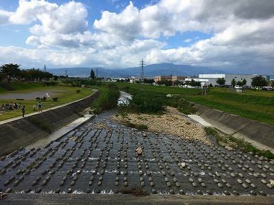 Img_37071006 野川
