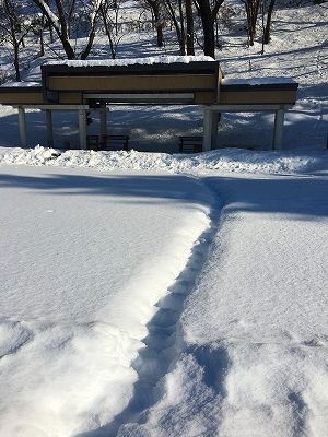 若木山公園