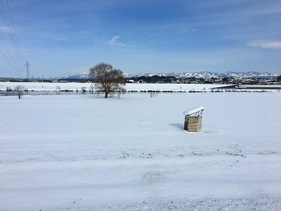 最上川