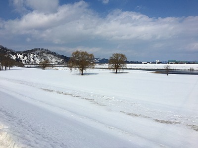 最上川の河川敷の冬景色