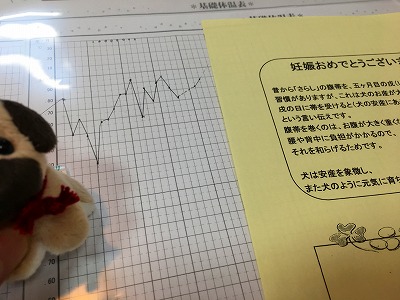 Img_57640413 妊娠されたお客さまの基礎体温表