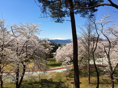 若木山から眺める月山