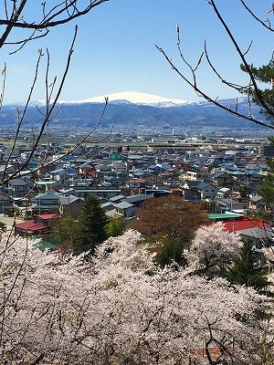 月山と桜