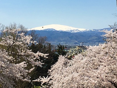 月山と桜