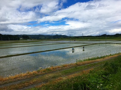 大石田の田んぼ